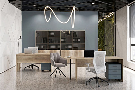 Новый цвет оперативной мебели «ЛЕМО» - Дуб Каньон!!!