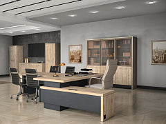 Брифинги в кабинете Торстон